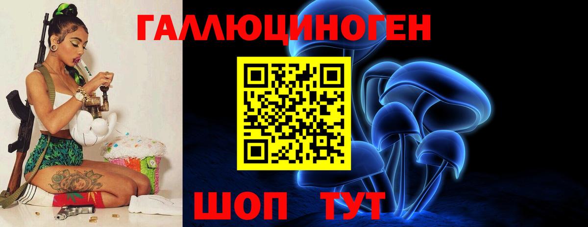 Кунгур  Псилоцибиновые грибы Magic Shrooms  Вход с VPN 