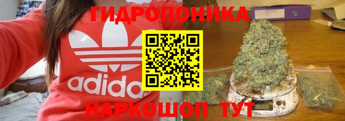 Бошки Шишки сатива Кунгур
